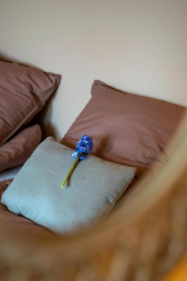 Mosters Bed & Breakfast Guldborg Bagian luar foto